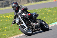 BIKES 0983