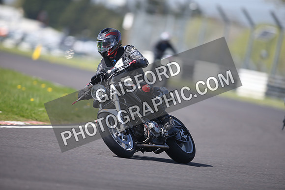 BIKES 1133