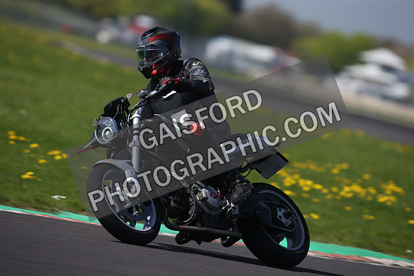 BIKES 1134