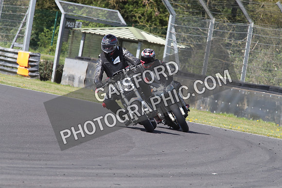 BIKES 1309