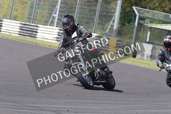 BIKES 1310