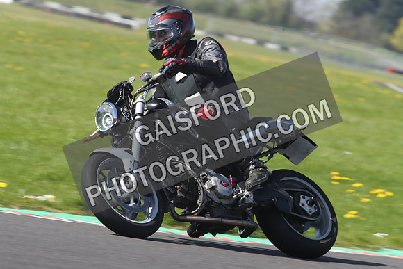 BIKES 1333