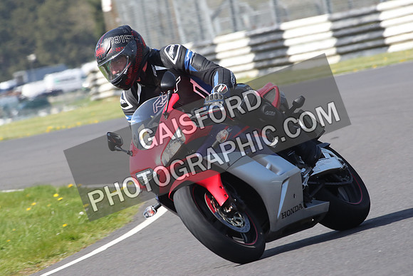 BIKES 0994