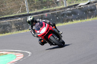 BIKES 0967