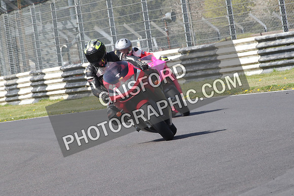 BIKES 1000