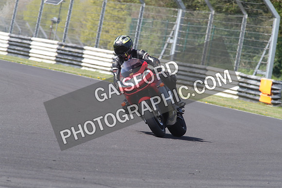 BIKES 1307