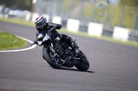 BIKES 1136