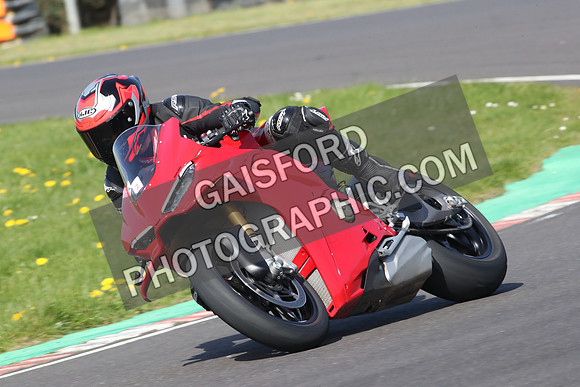 BIKES 0559