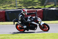 BIKES 1343