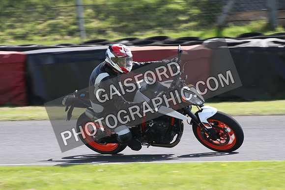 BIKES 1343