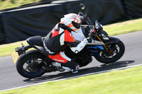 BIKES 1353