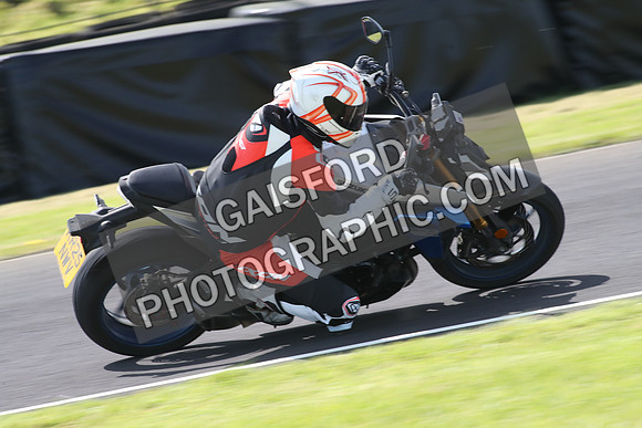 BIKES 1353