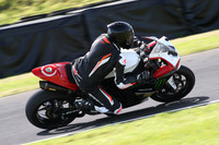 BIKES 1355