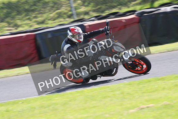 BIKES 1360