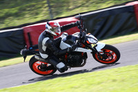 BIKES 1361