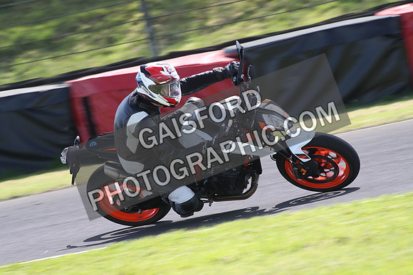 BIKES 1361