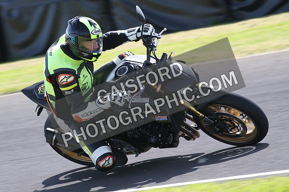 BIKES 1389