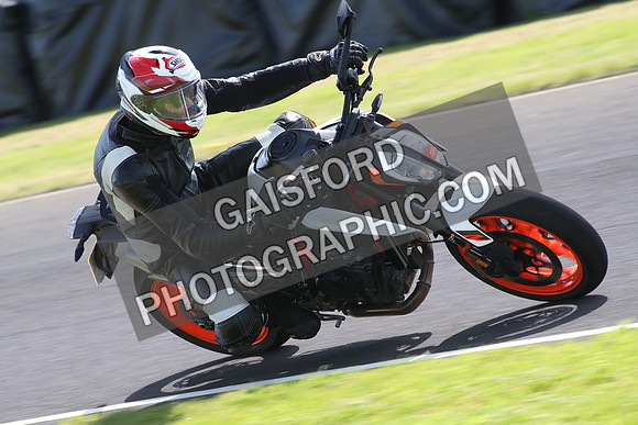 BIKES 1390