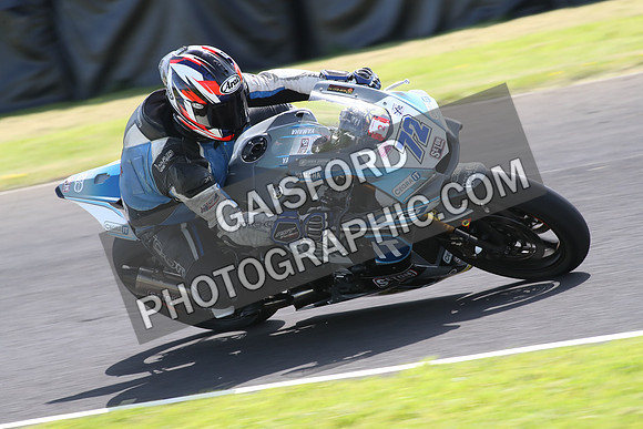 BIKES 1393