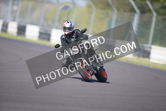 BIKES 1031