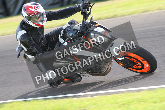 BIKES 1816