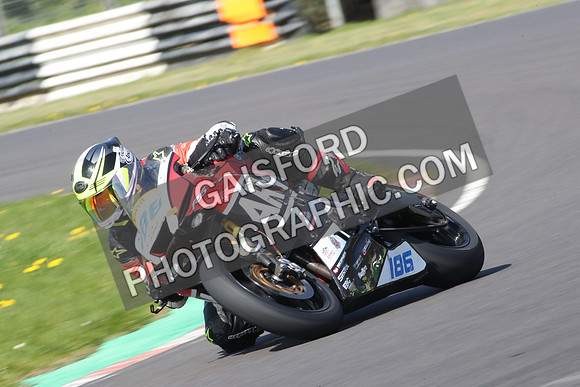 BIKES 0736