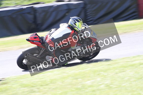 BIKES 1449
