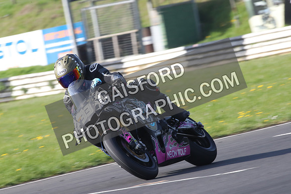 BIKES 0385