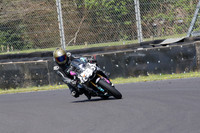 BIKES 0577