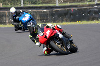 BIKES 0599