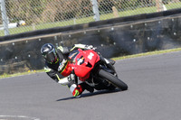 BIKES 0686