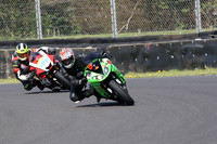 BIKES 0595