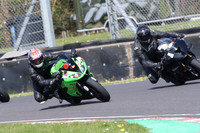 BIKES 0691
