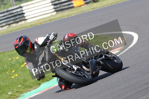 BIKES 0729