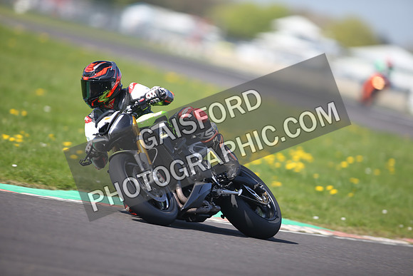 BIKES 1103