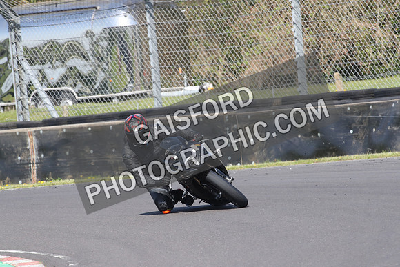 BIKES 0636
