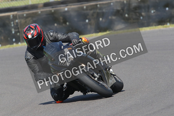 BIKES 0667