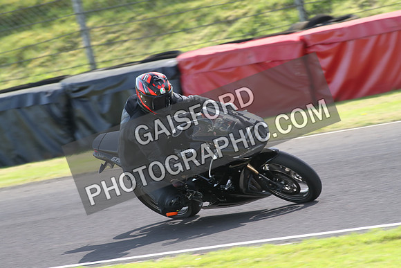 BIKES 1479