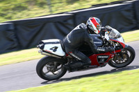 BIKES 1561