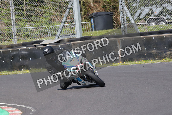 BIKES 0779