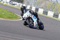 BIKES 1175