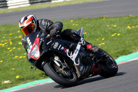 BIKES 0771