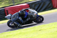 BIKES 1529