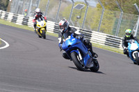 BIKES 1166