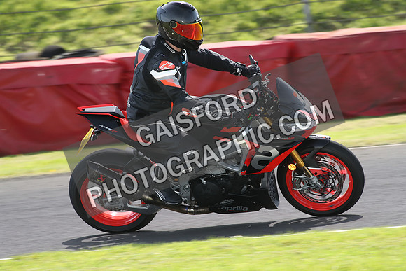 BIKES 1628