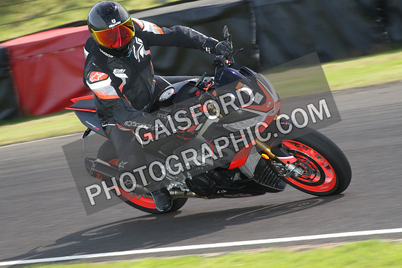 BIKES 1677