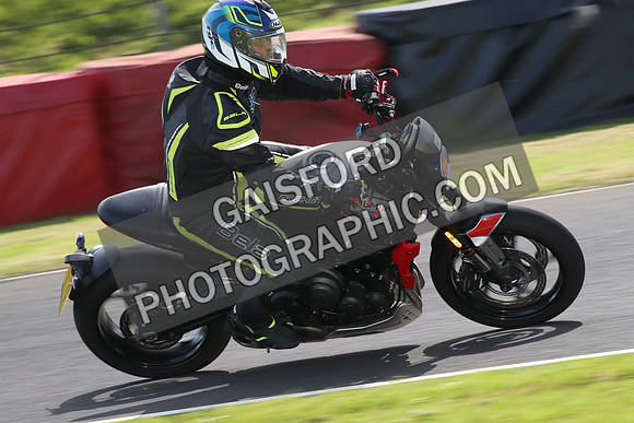 BIKES 1696