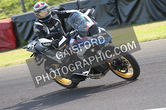 BIKES 1665