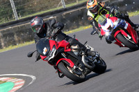 BIKES 0840
