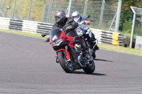 BIKES 1256